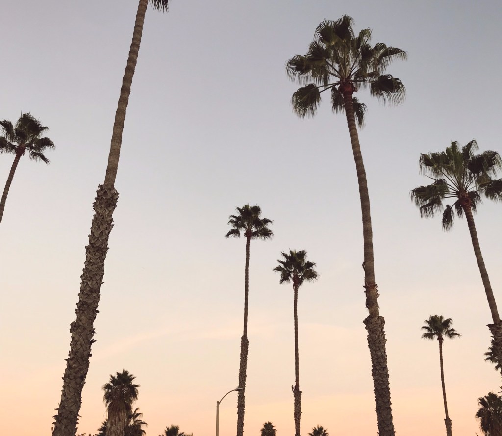 how to have a good Instagram